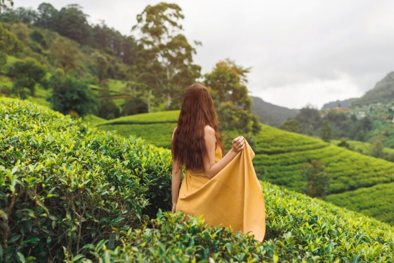 Woman Traveler Trip to the Tea Plantations in Nuwara Eliya, Sri Lanka
