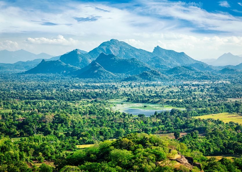 Sri Lankan landscape